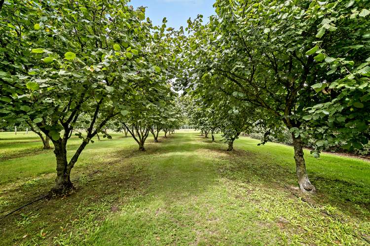 1349 Tramway Road Dunsandel_30