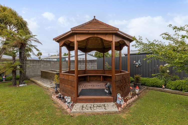 24 Ferguson Street Levin_22