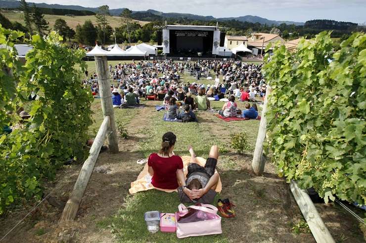 480 Matakana Road, Matakana, Ascencion vineyard