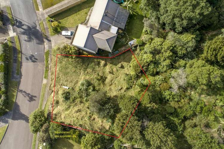 46 Graham Place Bellevue_3