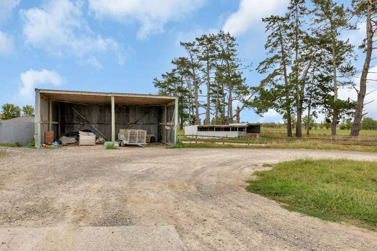 1067 Hoanga Road Dargaville_20