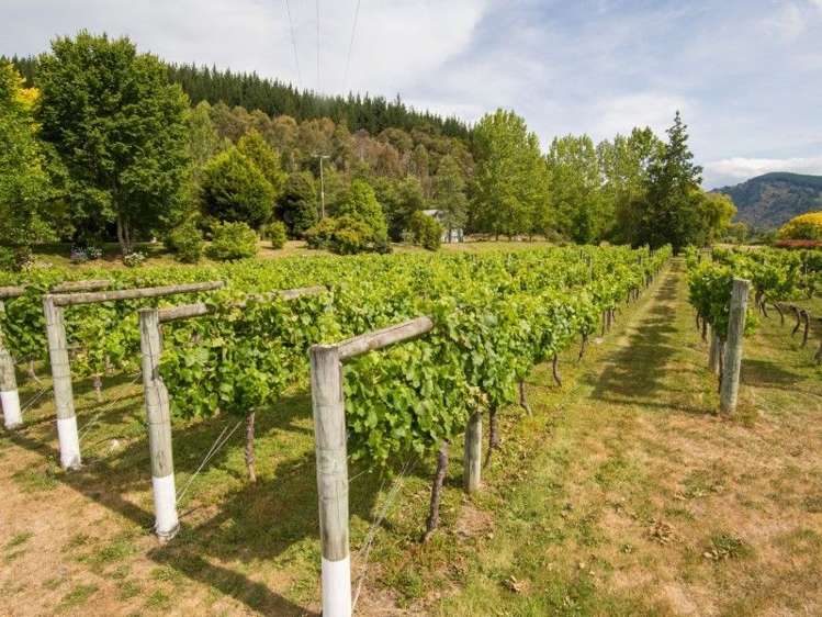 1173 Motueka Valley Highway Ngatimoti_21