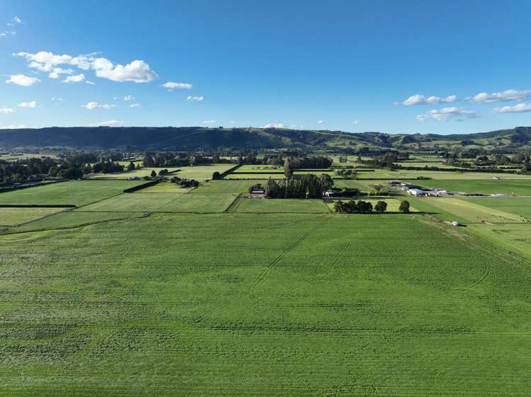 101 Dukes Road Mosgiel_9