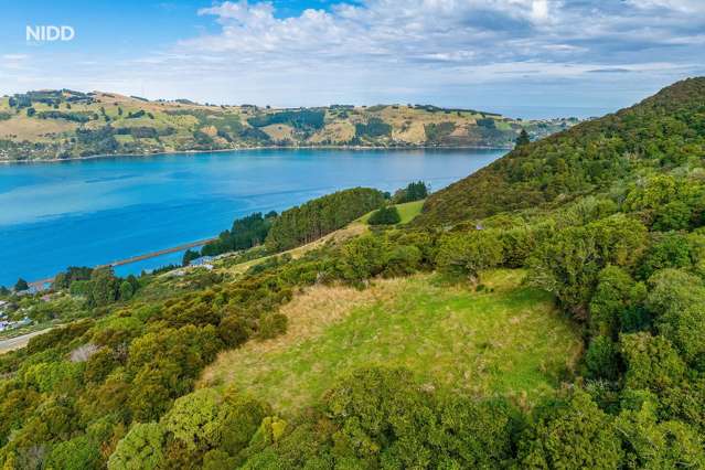 66 Kakapo Street Saint Leonards_4