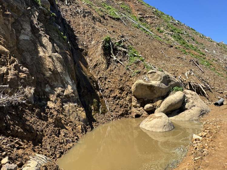 Lot 4 Brown Road Kawhia_19