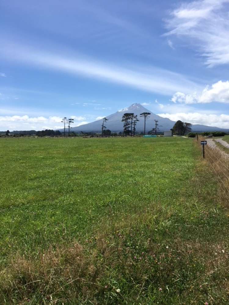 1703 Eltham Road Riverlea_0