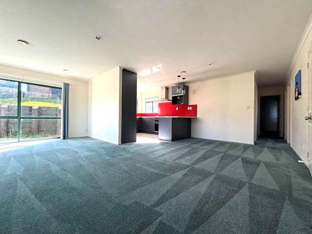 6 Shah Place Glen Eden_1