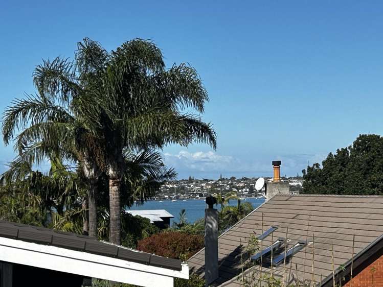 299A Riddell Road Glendowie_22