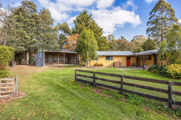 138 Harrs Road Swannanoa_24