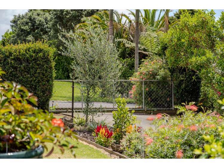 29d Darwin Road Kerikeri_17