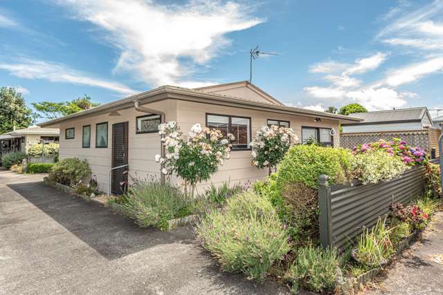 17b Moana Street Wanganui East_1