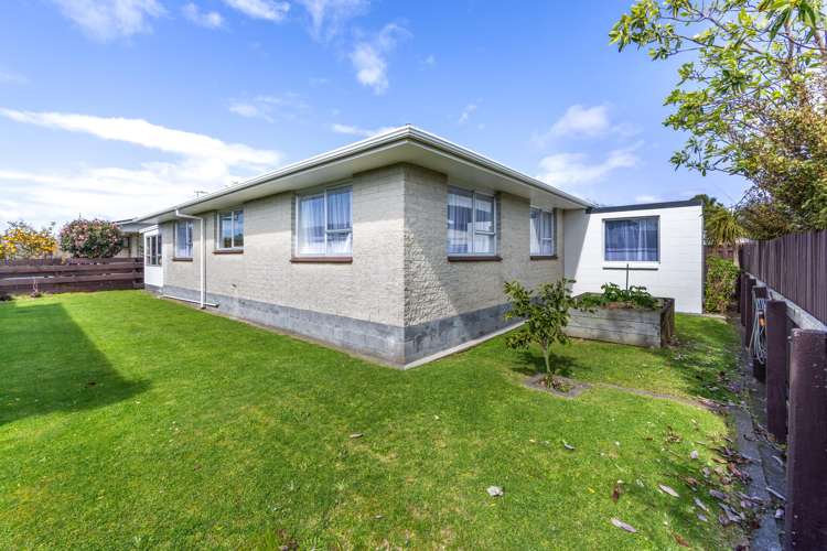 9A Rawhiti Street Vogeltown_10