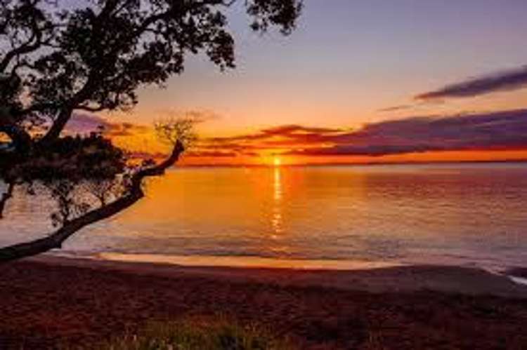 811a Whangaparaoa Road Manly_23