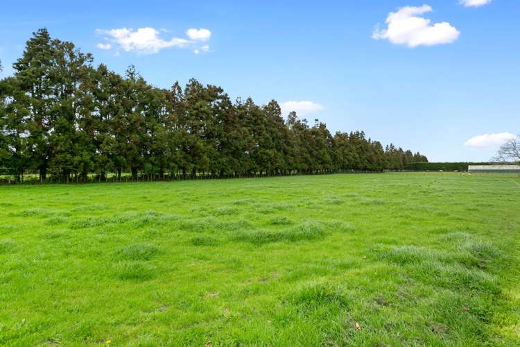 14 Pukerimu Lane Cambridge_19