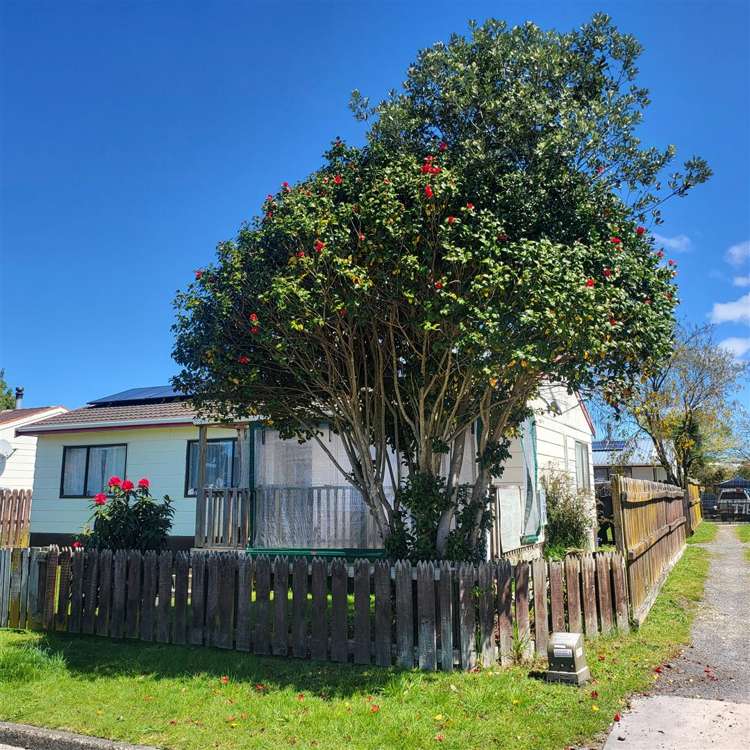 77a Taharangi Street Koutu_1