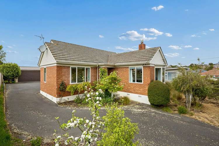 50 Mayfield Avenue Wakari_21
