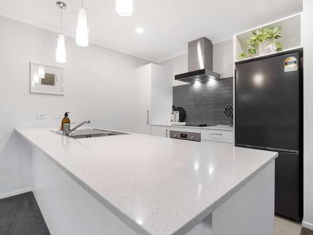 79 Belmont Road Pukekohe_3