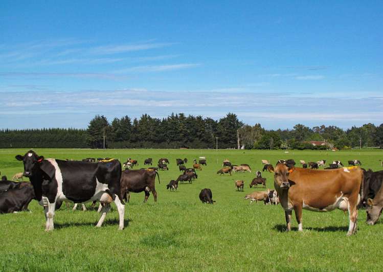 266 Winton Lorneville Highway Winton Surrounds_12