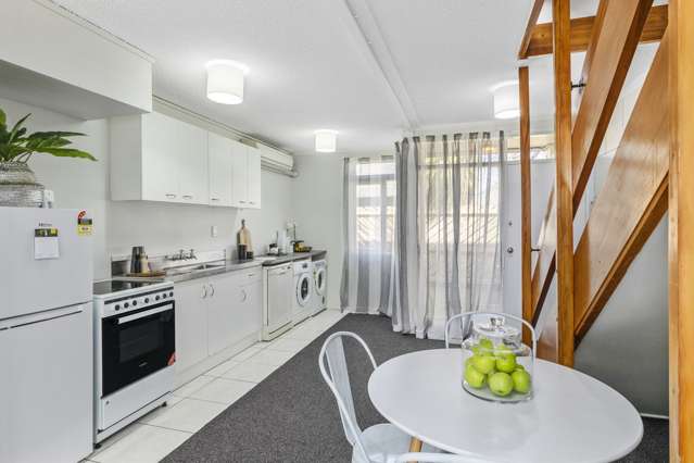 11f Britannia Street Petone_1