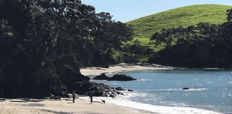 24 Mcgregor Street Taiharuru_20