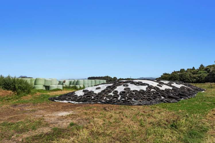 379B Powdrell Road Awakeri_18