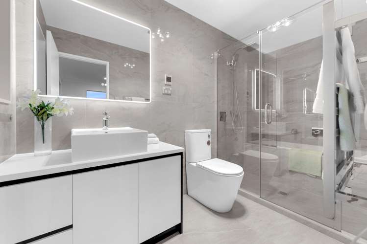 19 Barley Road Flat Bush_15