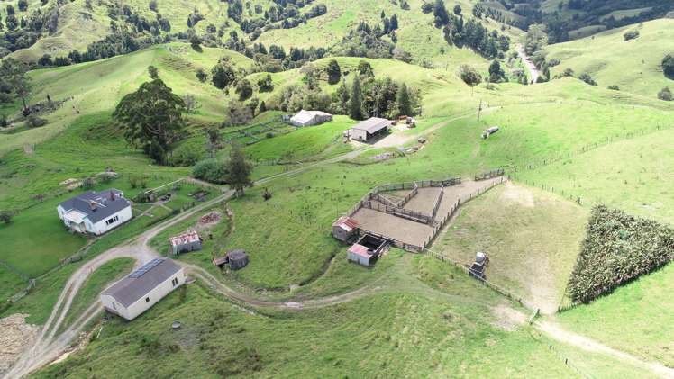 109 Paponga Road Broadwood_9