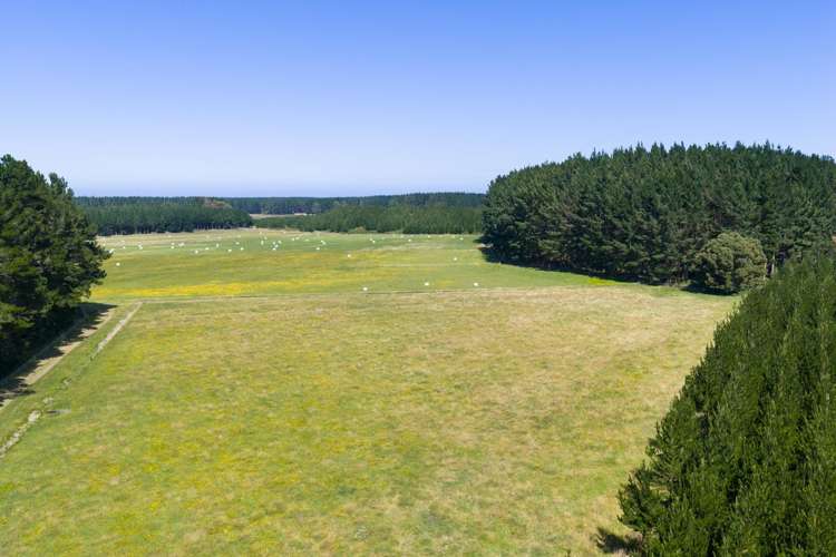 590 Brandon Hall Road Bulls_6