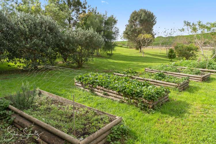 207 Doctors Hill Road Maungaturoto_13