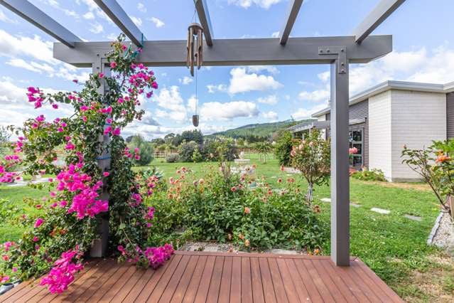 134 Gladstone Road Levin_3