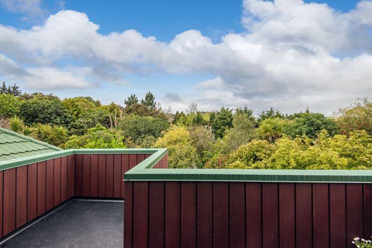 105 Polo Prince Drive Totara Park_19