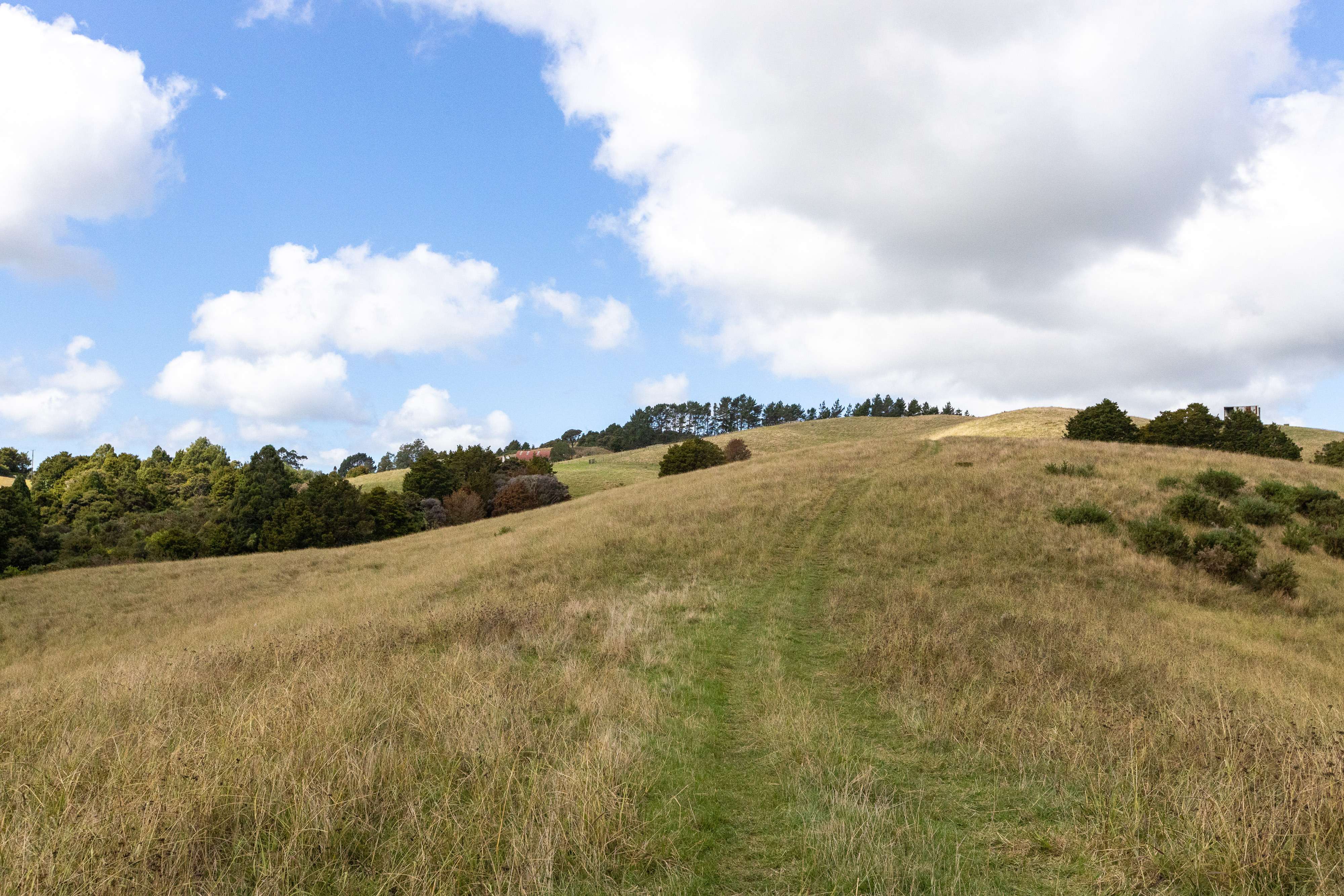 276 Rapson Road Kaukapakapa Rodney Rural Property For Sale One Roof
