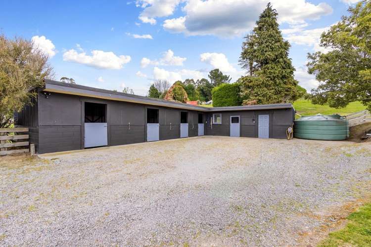 410 Centennial Drive Rotokawa_24