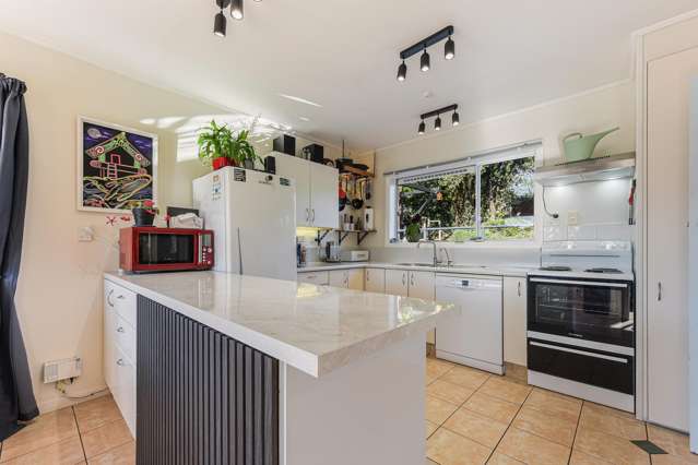 435 Waimea Road Enner Glynn_4