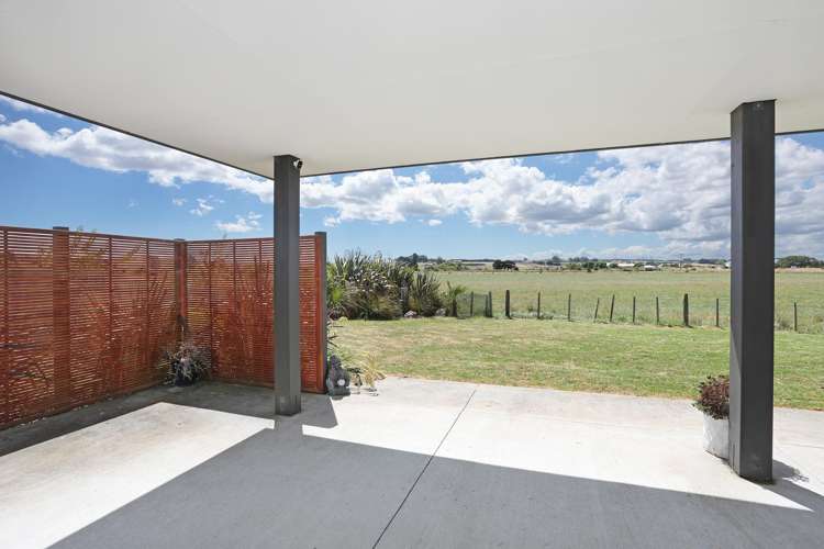 6 George Street Bulls_19