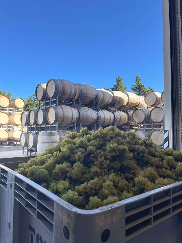 376 Ram Paddock Road Waipara_3