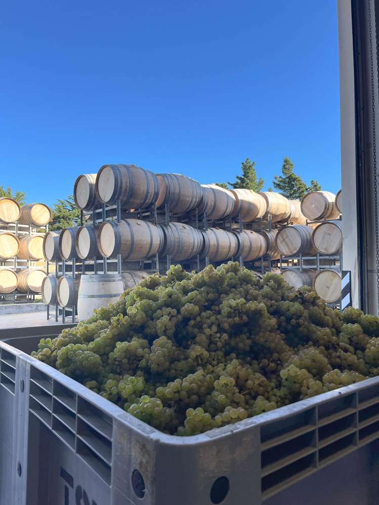 376 Ram Paddock Road Waipara_3