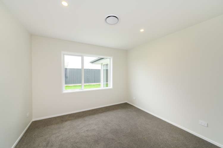 6 Roots Street East Feilding_12