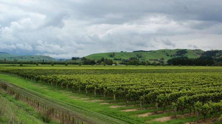 483 Dartmoor Road Puketapu_9