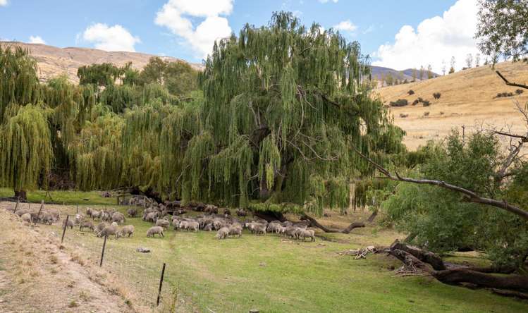 80 Heaney Road Cromwell_36