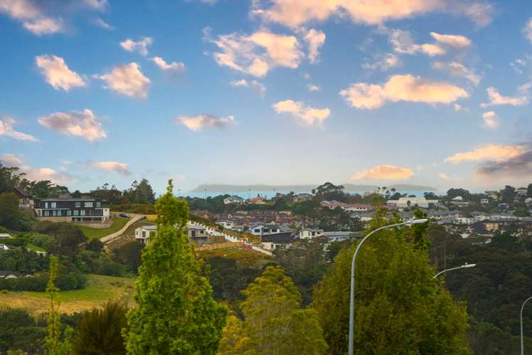 6 Hatfield Place Albany Heights_20