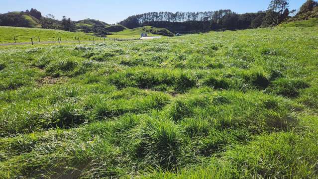 Lot 1, 724 Upland Road Lower Egmont Village_1