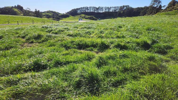 Lot 1, 724 Upland Road Lower Egmont Village_1