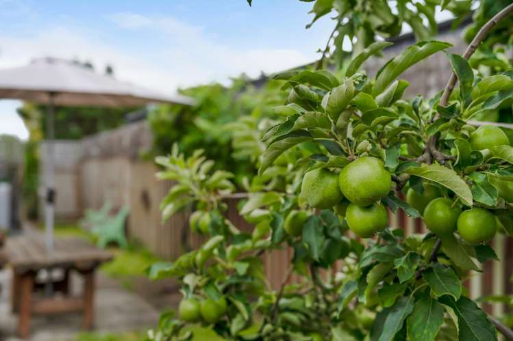 97 Howick Road Redwoodtown_26