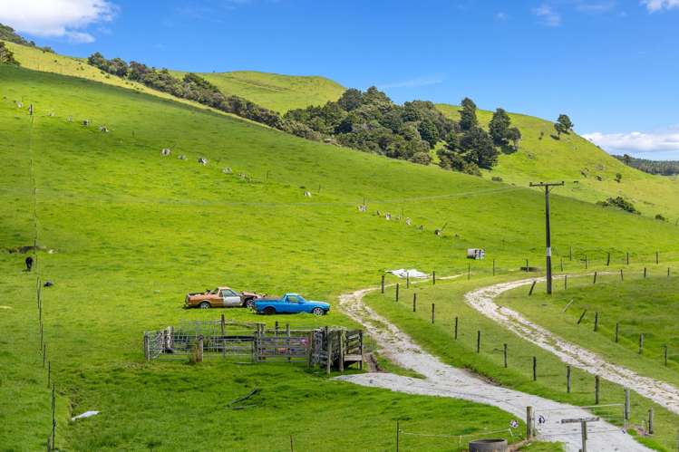 568 Tinopai Road Tinopai_50