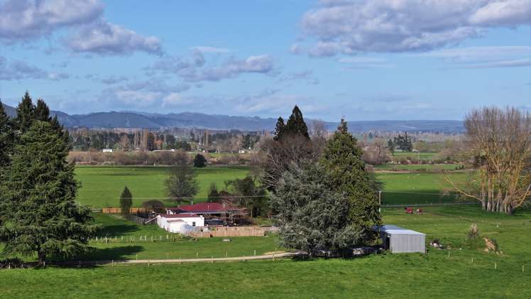 57 Ohutu Road Galatea_9