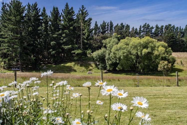 46 Forestry Road Ashley_24