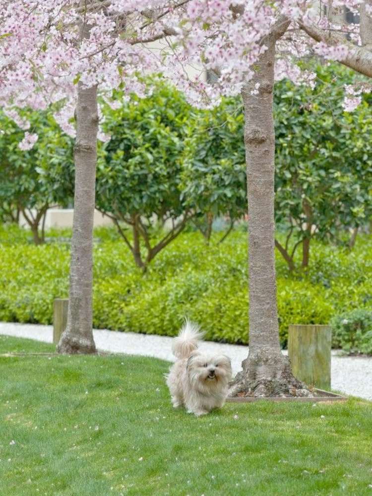 3d/16 Market Place Auckland Central_9