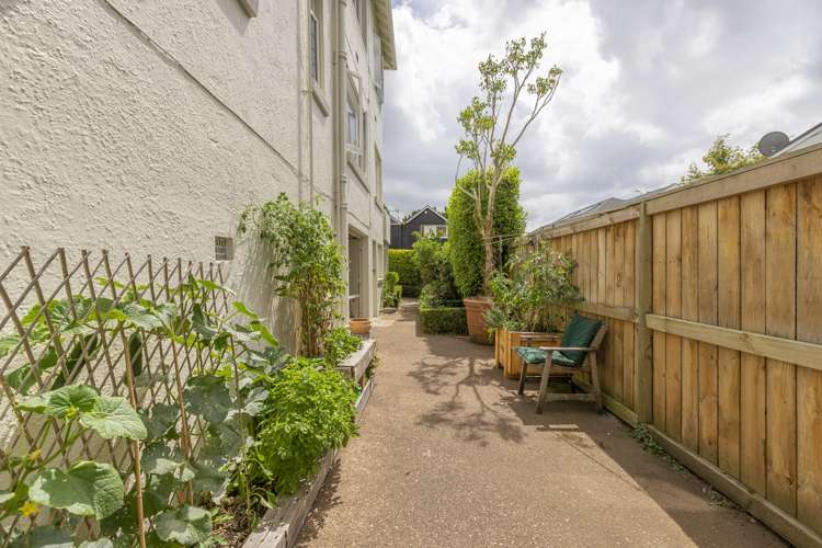 295f Mount Eden Road Mount Eden_14