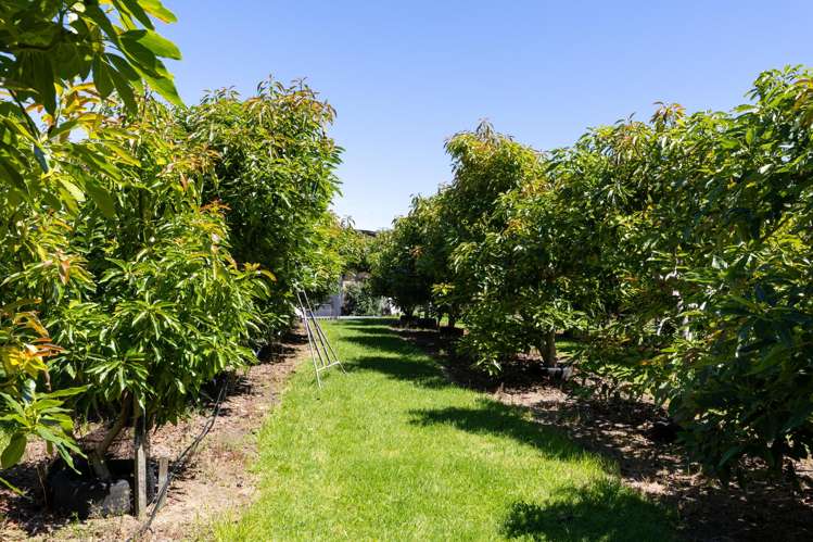 2276 Gordonton Road Taupiri_29